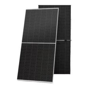 Trina Solar Vertex N TSM-NEG19RC.20 625W Bifacial Module